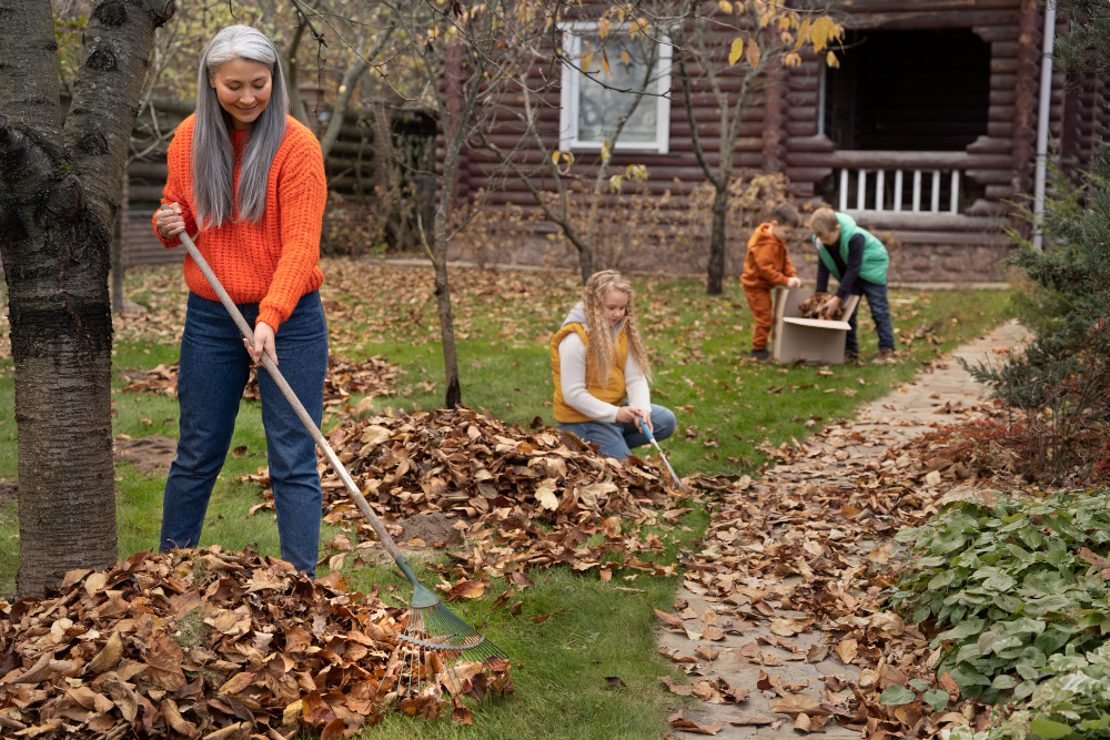 The Hidden Dangers of DIY Tree Removal: Why Hiring a Professional Is Crucial for Safety