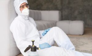 Is It Safe to Be Around Pest Control Spray?