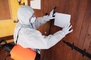 Cleveland Charm Disrupted by Pests? Acquire peace again with Top-Notch Pest Control Services in Cleveland