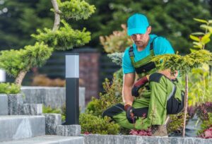 Hardscape Maintenance Service: Keep Your Outdoor Features Looking Great Year-Round